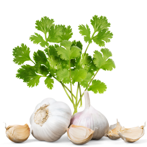 Cilantro Garlic White Balsamic Vinegar