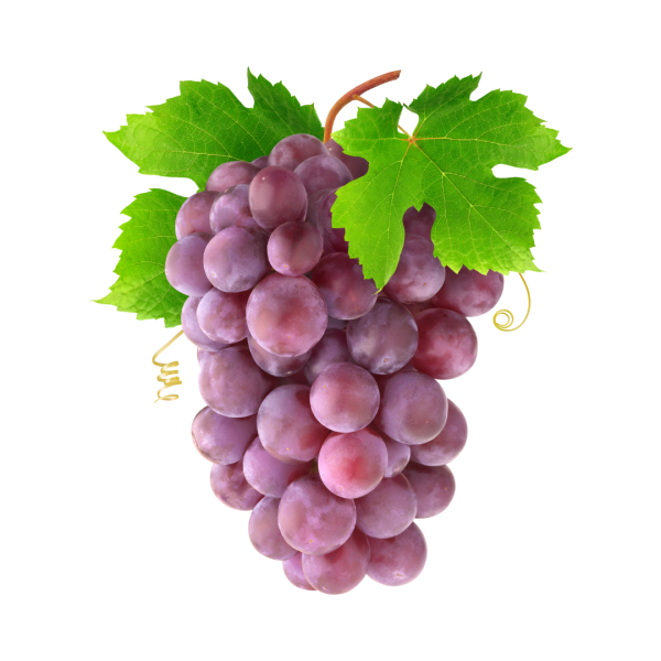 Lambrusco Wine Vinegar